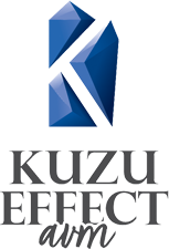Kuzu Effect AVM